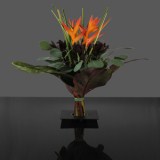 Arrangement Safari Sunset 4 Bouquets
